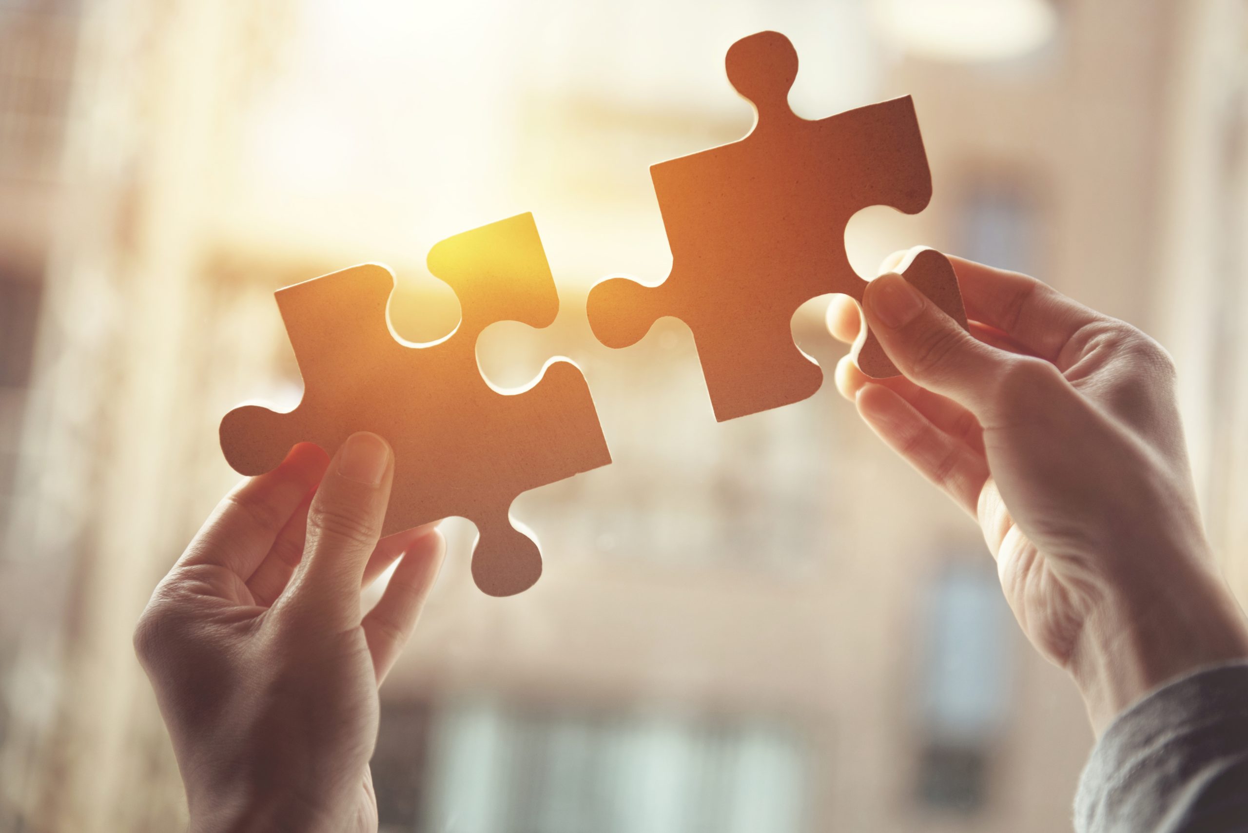 Puzzle pieces representing solutions